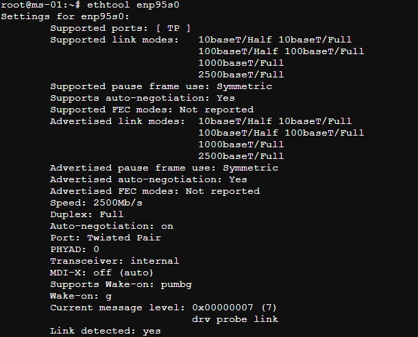 Proxmox VE Enp95s0 In Ethtool